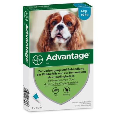 Advantage® 100 (4 Pipetten x 1,0 ml)