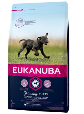 Eukanuba Growing Puppy Large Breed Huhn 2 x 15 kg