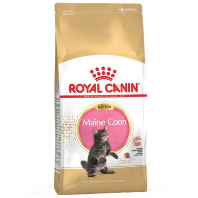 Royal Canin Maine Coon Kitten 2x10kg